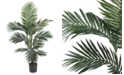 Nearly Natural 4' Artificial Kentia Palm Silk Tree
